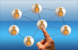 开云体育在线官网-体育新闻中心联合高校开展体育传媒创新创业大赛，体育产业创新创业大赛